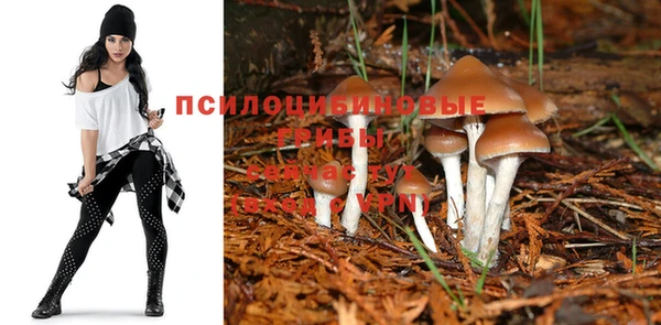 бошки Алзамай